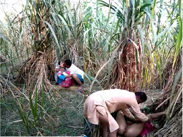 Indian village bhabhi outdoor fucking scandal